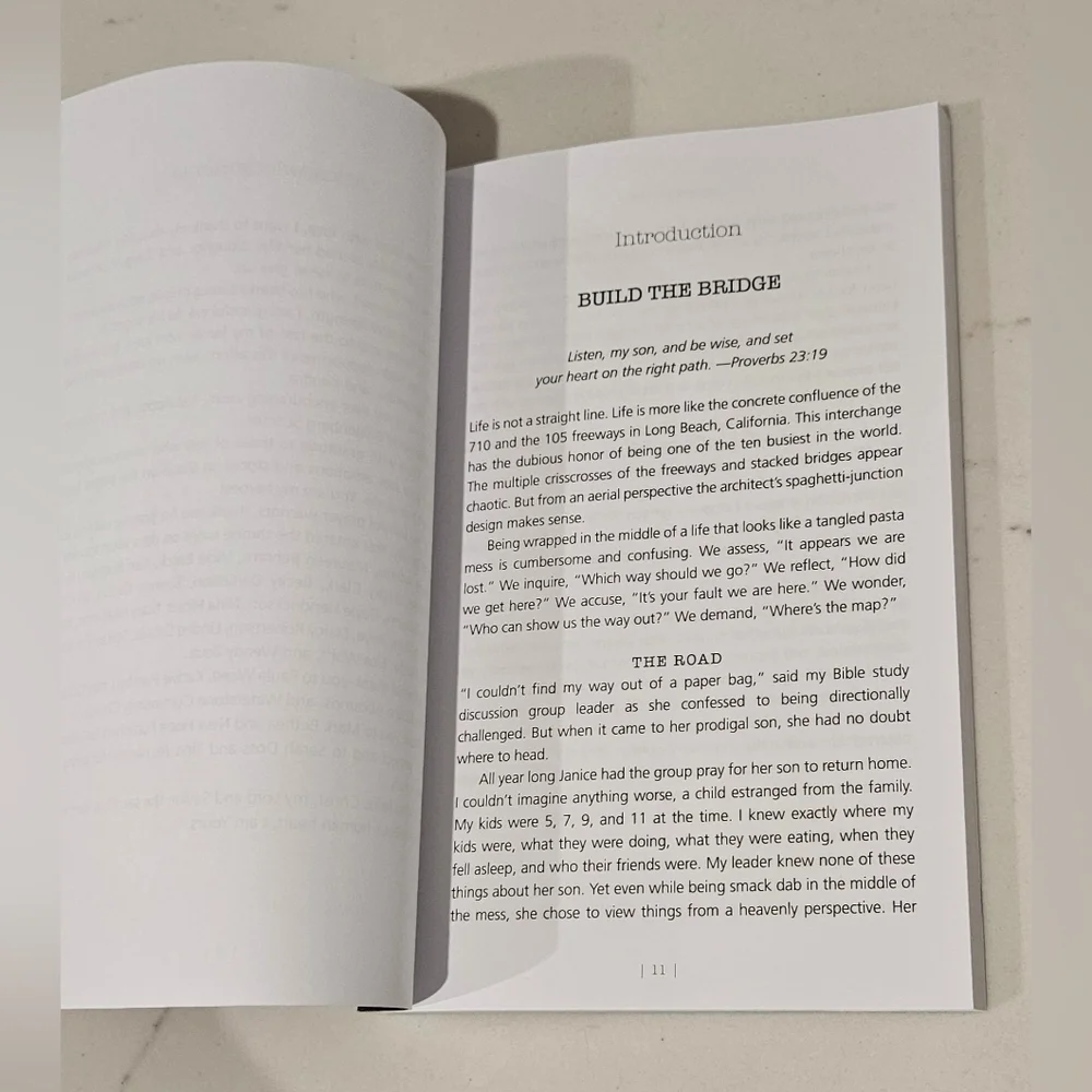 BOGO Messy Journey: How Grace and Truth Offer the Prodigal a Way Home Book